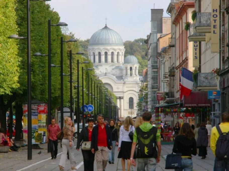 Modern Flat In Old Town Kaunas - Free Parking & Self Check-In Eksteriør bilde